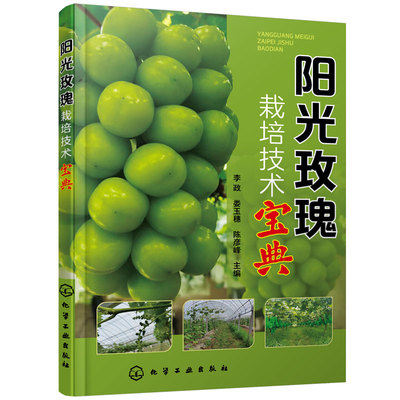 阳光玫瑰栽培技术宝典 李政 葡萄栽培 葡萄树体管理 葡萄肥水管理 葡萄花果管理 农技推广人员葡萄种植园管理及技术人员参考图书籍