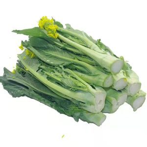广东增城迟菜心新鲜特产小楼高脚菜心整箱送礼现摘现发好吃嫩蔬菜
