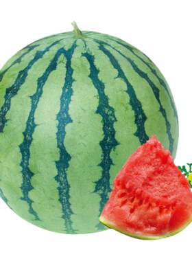 汁多肉脆香甜可口冰糖麒麟西瓜