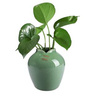 亲居龙泉花瓶青瓷摆件创意家居装饰品简约小花器个性花插旗袍陶瓷