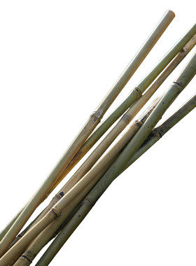 海蒂的花园 竹竿菜园蔬菜瓜果植物搭架支撑竿爬藤架园艺栏杆栅栏
