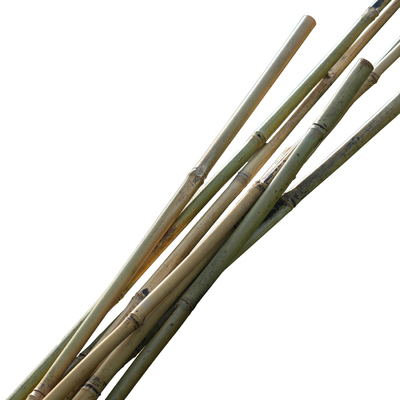 海蒂的花园 竹竿菜园蔬菜瓜果植物搭架支撑竿爬藤架园艺栏杆栅栏