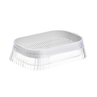 发芽豆苗种植盒水培豌豆苗生长杯家用阳台种菜盘无土栽培设备神器