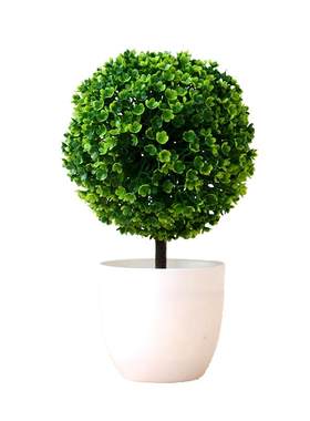 仿真绿植物盆栽客厅餐桌面小摆件