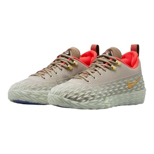 Nike/耐克 S.T. Charge舒适贴合篮球鞋男女同款浅灰色IO8062-001