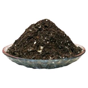 枝干番杏专用营养土疏松糖球米粒冰晶多肉植物盆栽扦插育苗种植土