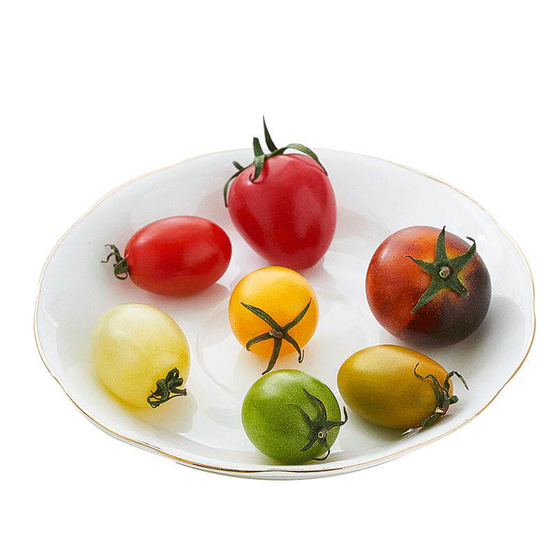 缤纷圣女果3斤混装搭配彩色千禧果沙拉西餐食材现摘整箱