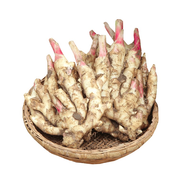 新鲜现挖红芽嫩姜!吃法多样新鲜