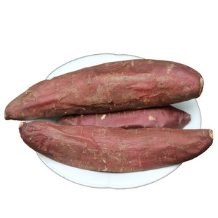 池见高端日本引种种苗榴莲蜜薯榴金蜜薯黄心高甜度番薯红薯农家