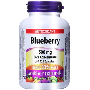 Webber Naturals加拿大进口蓝莓高倍浓缩精华胶囊呵护双眼120粒