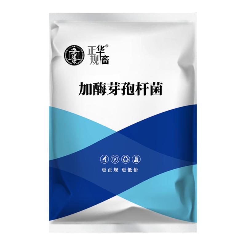 华畜复合芽孢杆菌菌种水产养殖专用原种菌粉虾蟹塘活菌em益生菌