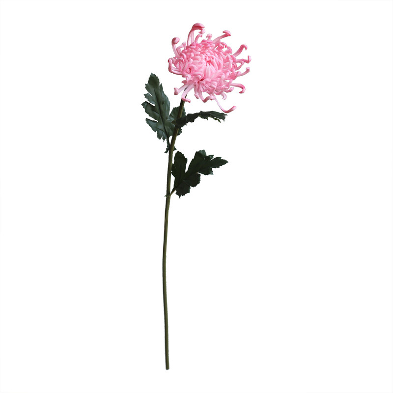 国风新中式高仿真手感皇菊花万寿菊皇菊高级假花插花软装拍摄道具
