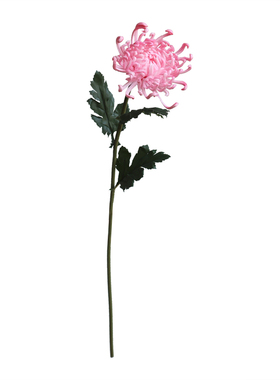 国风新中式高仿真手感皇菊花万寿菊皇菊高级假花插花软装拍摄道具