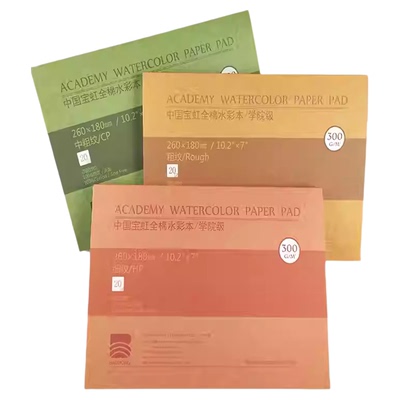 宝虹水彩本学院级300g细中粗纹