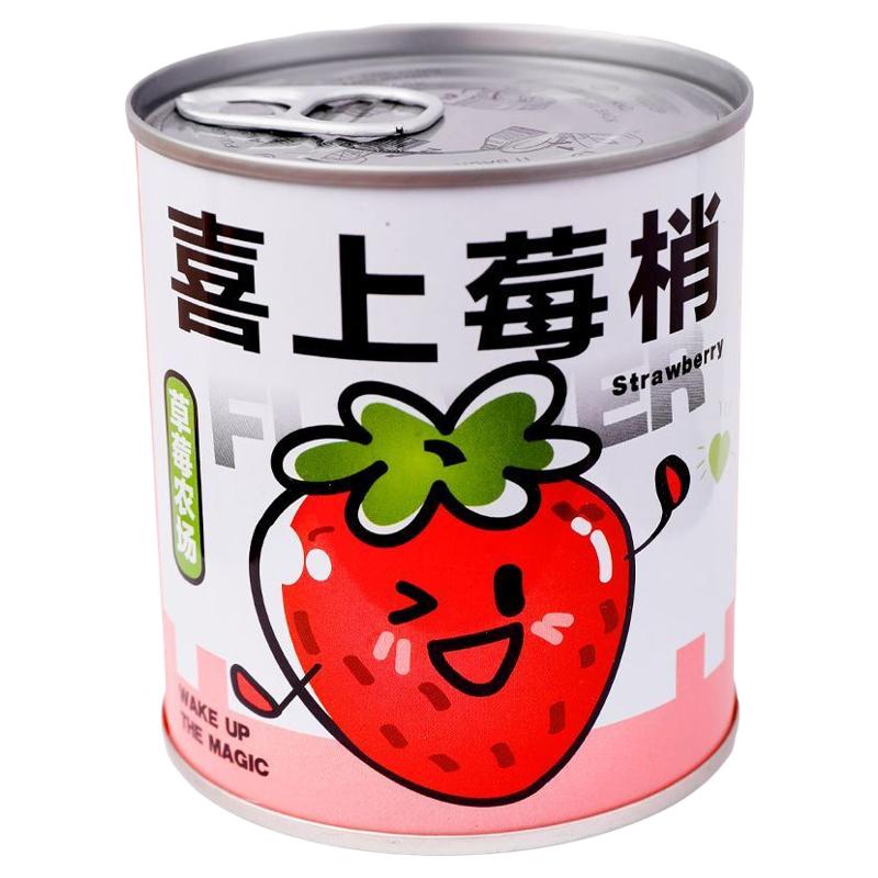 儿童趣味小盆栽懒人种植罐头盆栽