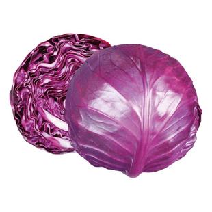 紫甘蓝种子种籽苗秧秧苗包心菜种孑菜籽大头菜蔬菜菜苗大包菜种孑