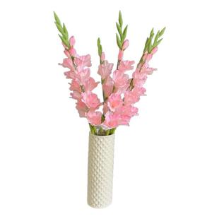 仿真加厚绢布80-120CM软胶剑兰客厅电视柜花瓶插花装饰摆放花卉