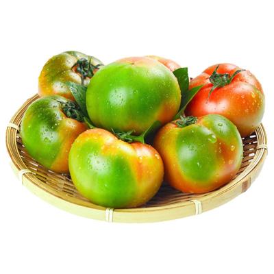 正宗丹东铁皮西红柿新鲜草莓柿子5斤盘锦碱地自然熟生吃水果番茄