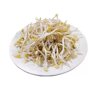 次日达上门送货农家妈妈现发1斤新鲜短胖豆芽绿豆芽黄豆芽黑豆芽