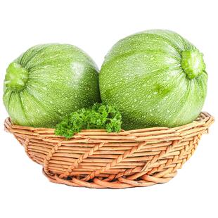 嫩南瓜新鲜现摘贵州小南瓜当应季农家蔬菜软糯小青瓜脆嫩整箱包邮