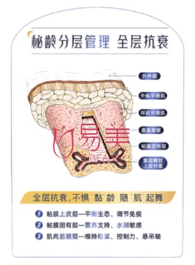 秘龄分层亚克力皮肤美容美体管理亚克力医美整形医院医患沟通