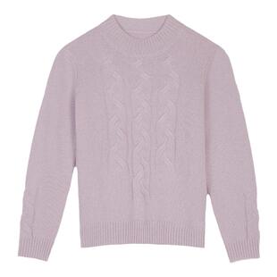 鹿王100%纯山羊绒衫女士半高领绞花纹理保暖针织毛衣套衫秋冬新款