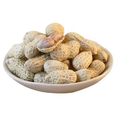 新货龙岩白晒咸干带壳水煮花生