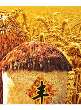 麦子丰收轻奢客厅装饰画粮仓画