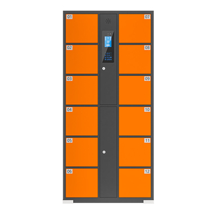 超市电子存包柜学校工厂人脸识别条码刷卡微信扫码指纹智能寄存柜