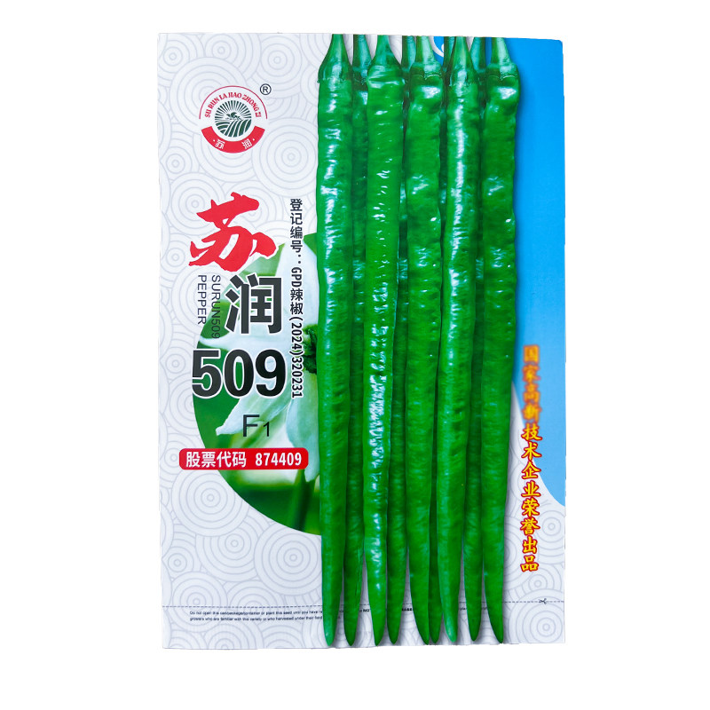 基地专用长线椒种子好管理后劲足