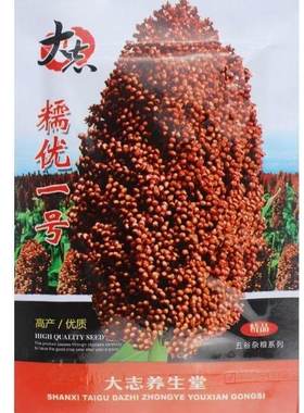 糯优1号酿酒高粱种子矮生抗旱籽