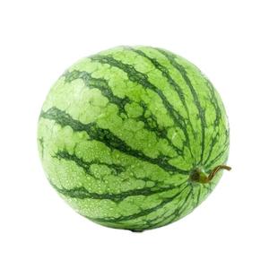 无籽麒麟王8424西瓜种子早熟种籽大果型四季美都懒汉甜王瓜种孑