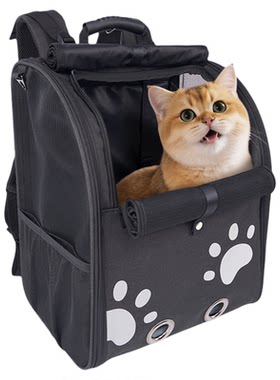 猫包出行双肩包不变形大容量背包