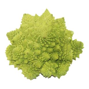 荷兰白金宝塔菜种子椰秋冬春季夏四季花菜螺丝种籽蔬菜种孑螺丝菜