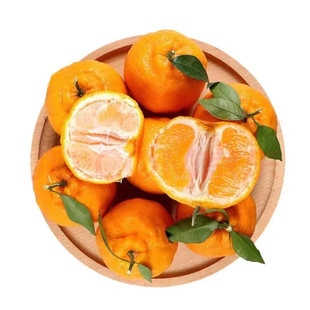 【顺丰包邮】湖北巴东正宗雷家坪椪柑/清江宜昌上游芦柑胖柑老树