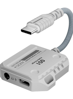 浦记二合一快充60W转接器