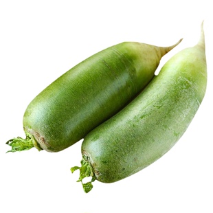 翠绿6号水果萝卜种子种籽青水萝卜生四季蔬菜杂交种子籽种禾之元