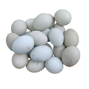 正宗新鲜土鸡蛋农家纯天然散养粮食鸡蛋礼盒30枚装包邮