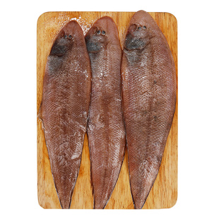 舟山特产 海捕新鲜龙利鱼玉秃肉塌鱼鲜活海鲜码头直发 非巴沙鱼肉