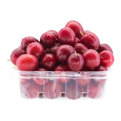 欧李果苗钙果树苗盆栽地栽果树苗