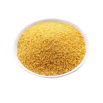 2025羊粪种植米脂油小米5斤