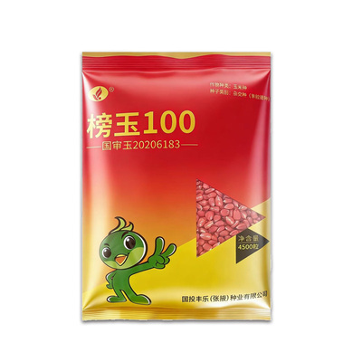国投丰乐张掖种业榜玉100玉米种国审高产玉米种特高产杂交玉米种