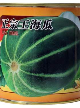 甜瓜种子花皮绿肉甜瓜种籽糖度高抗病香瓜甜脆香味浓春季秋季国产