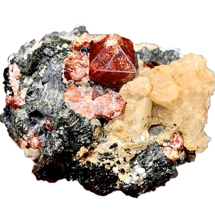 红色锆石黑云母 天然稀有宝石矿物晶体 教学标本矿石原石收藏摆件