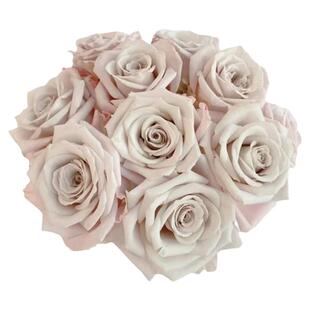 A级曼塔玫瑰花云南鲜花基地直发昆明斗南市场直批水养真花灰色顺