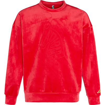 Adidas/阿迪达斯正品2025冬季款男士日常圆领套头宽松卫衣KE4069