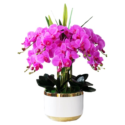 仿真花蝴蝶兰手感PU装饰花