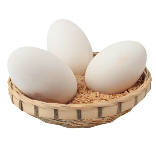 12枚140-160克特大生鹅蛋双黄蛋鹅蛋新鲜农家散养正宗土鹅蛋孕妇