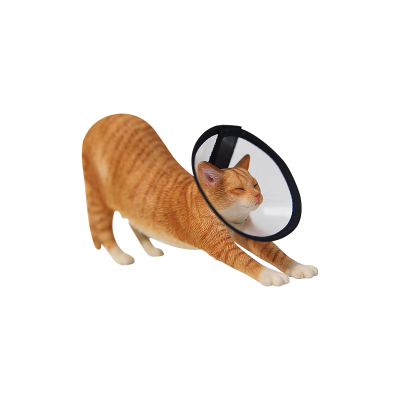 【JXK官方店】伸懒腰的小猫模型