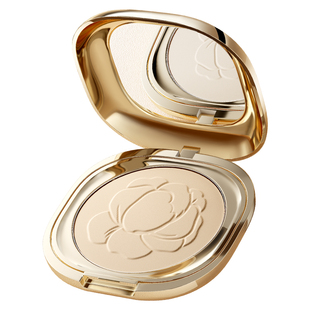 FV蜜粉饼柔焦控油定妆防水补妆遮瑕毛孔散粉秋冬正品官方旗舰